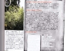 p7.jpg